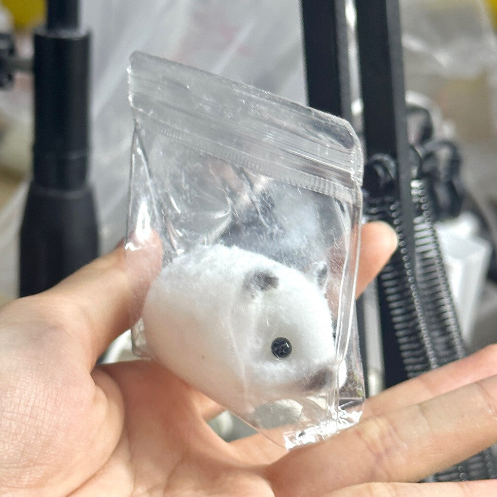 GUINEA PIG SQUISHY TOY