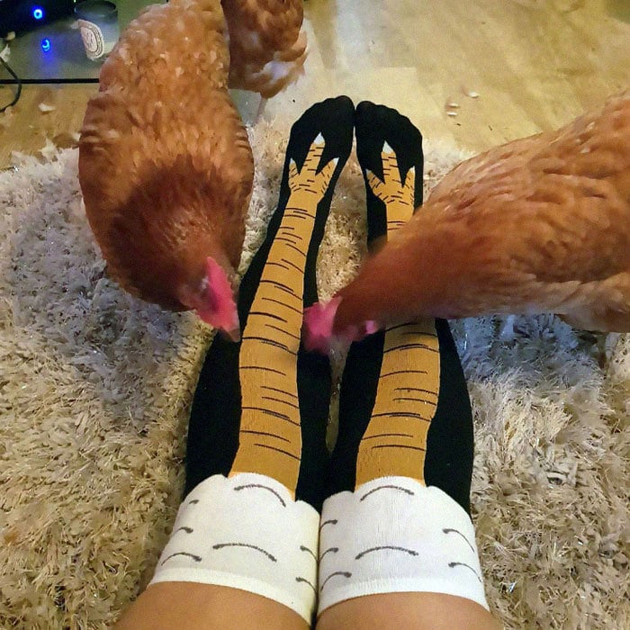 CHICKEN FEET SOCKS DAY CREATIVE OVER-KNEE SOCKS OSTRICH PATTERN GYM FUNNY MALE CALF THIN STOCKINGS