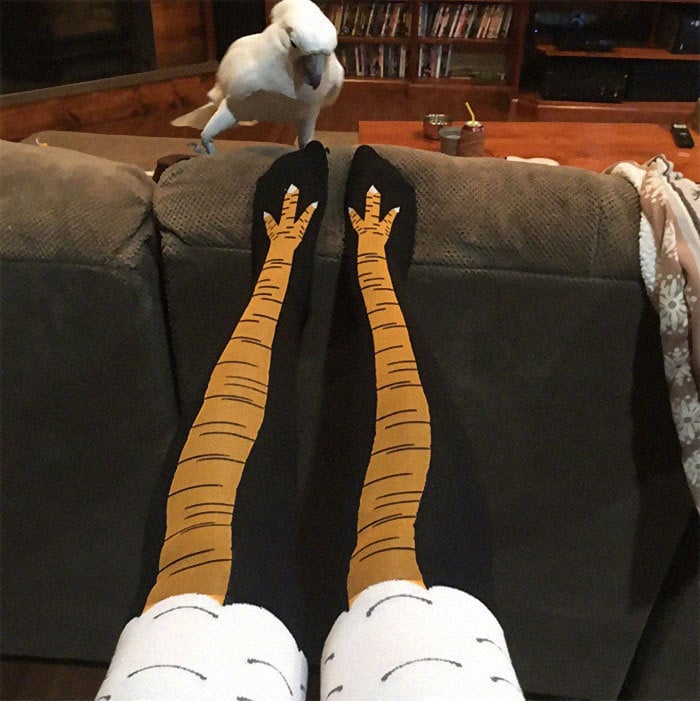 CHICKEN FEET SOCKS DAY CREATIVE OVER-KNEE SOCKS OSTRICH PATTERN GYM FUNNY MALE CALF THIN STOCKINGS
